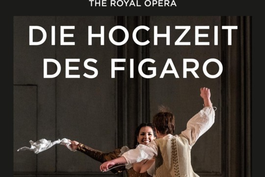 Die hochzeit des Figaro.jpg